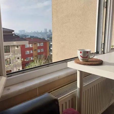 Manzara , Yesillik Ve Kus Sesi